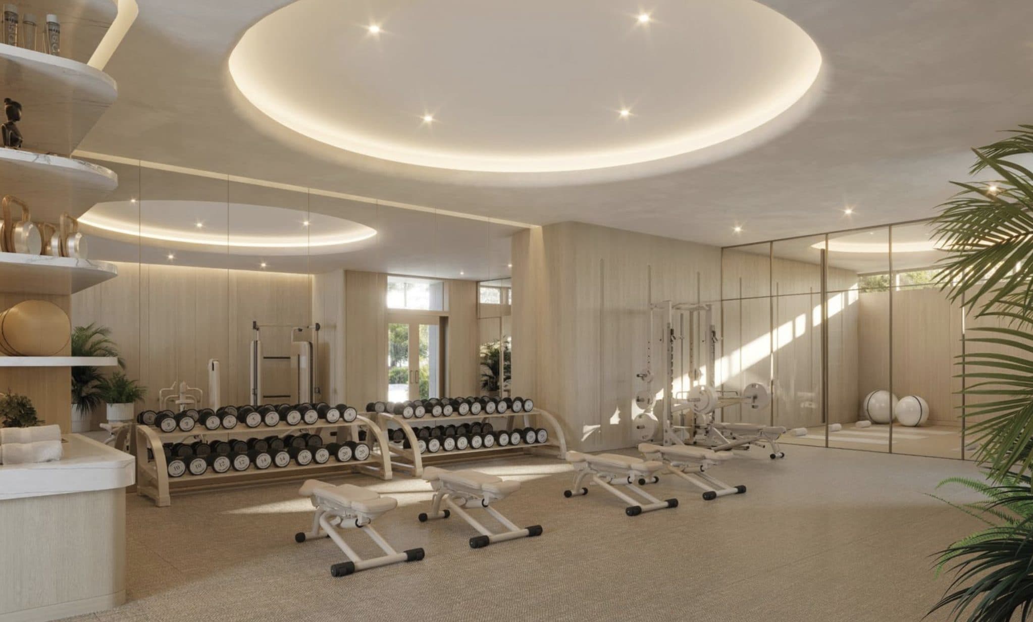 Gimnasio