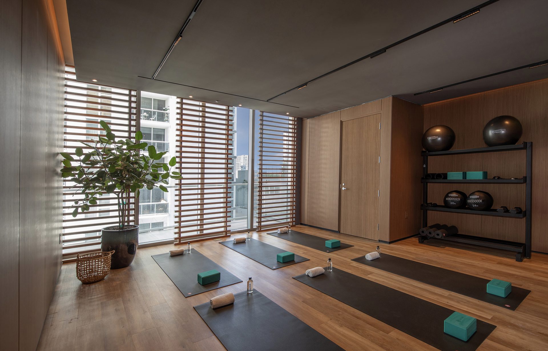 Movement & Yoga Studio